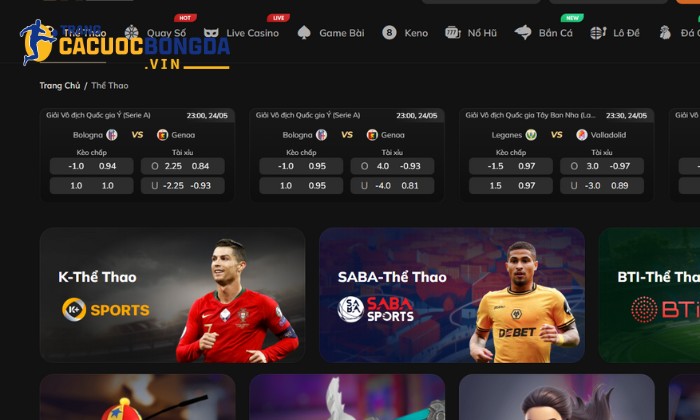 OXBET là thương hiệu nhà cái tặng tiền cá cược đến từ Dubai